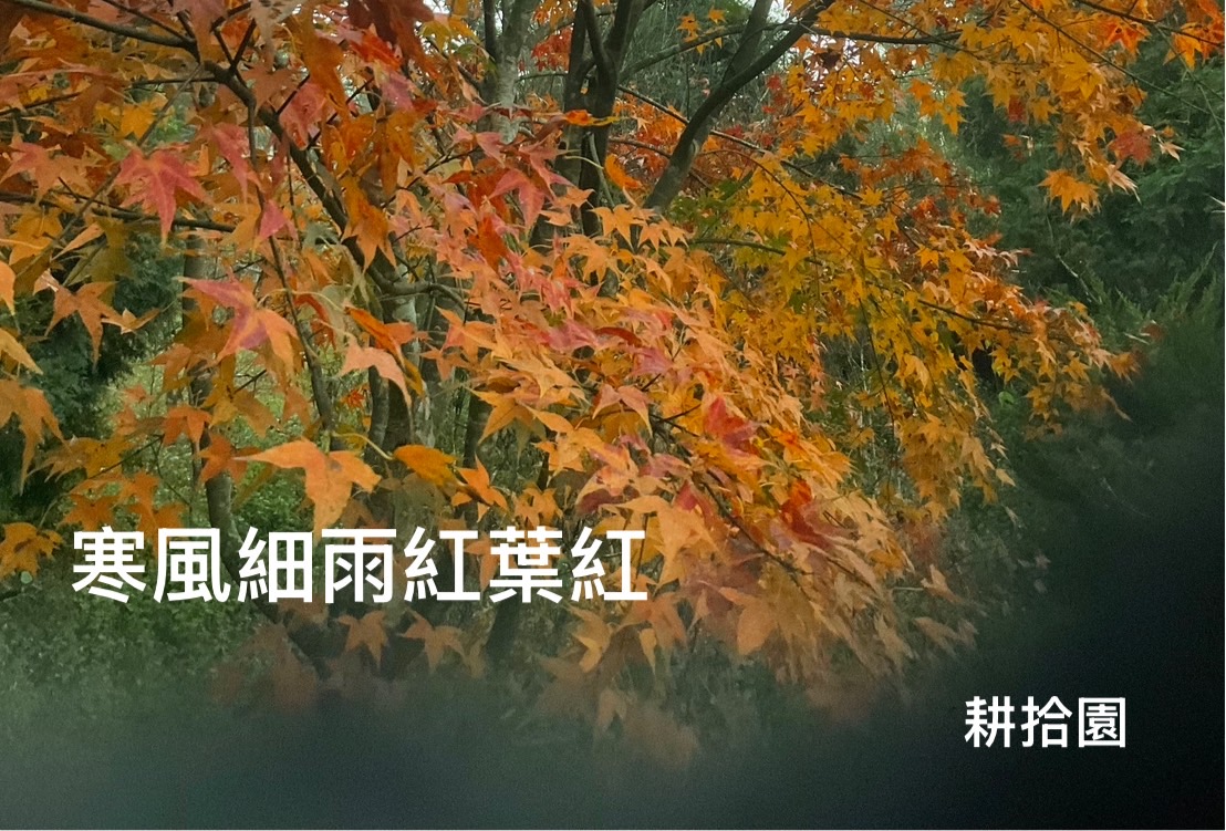 鄭育宏早安作品20241231.jpg