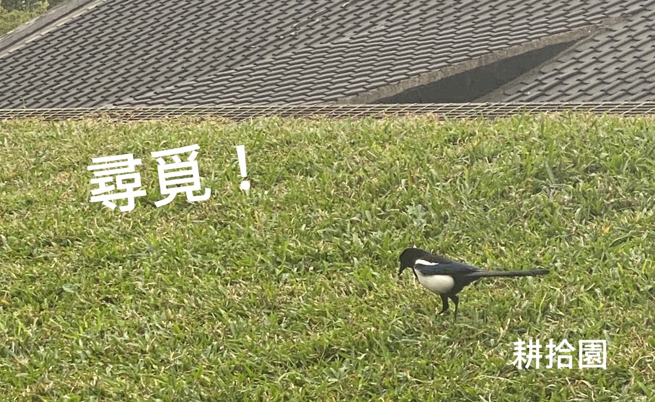 鄭育宏早安作品20241229.jpg