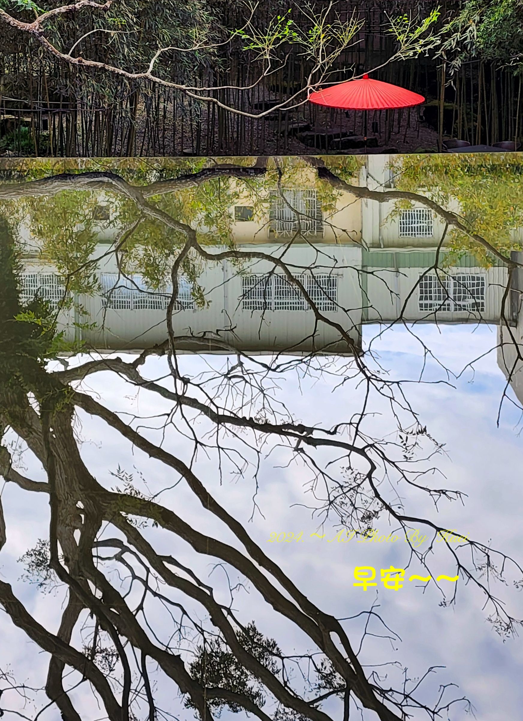 林於貴早安作品20241231.jpg