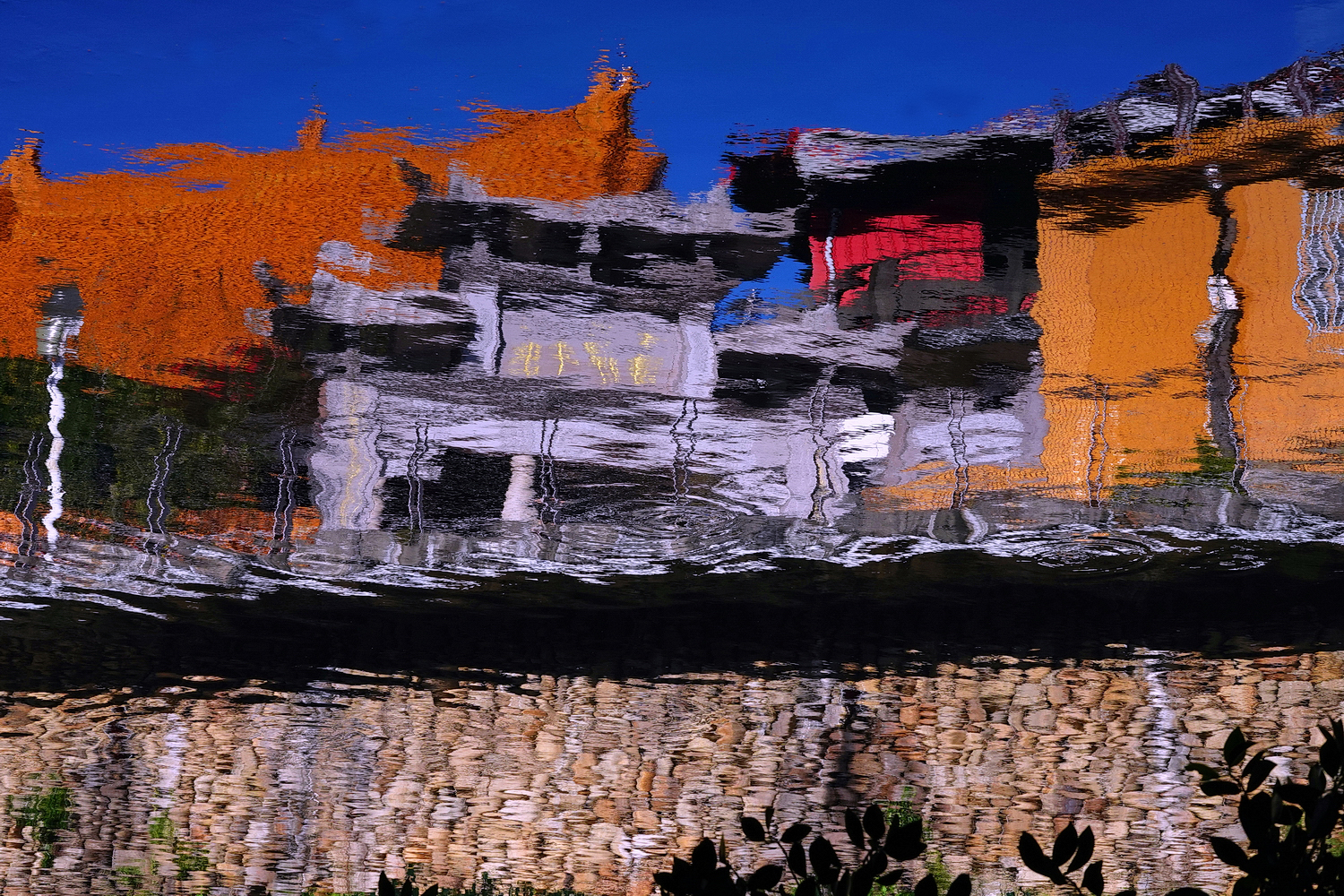 陳永鑑_水中倒影20250104b.JPG