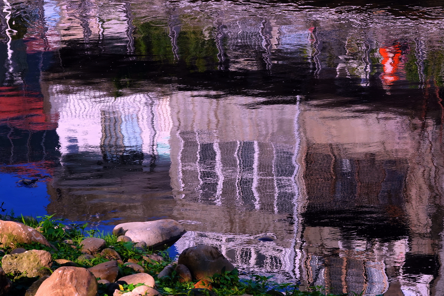 陳永鑑_水中倒影20250105a.JPG