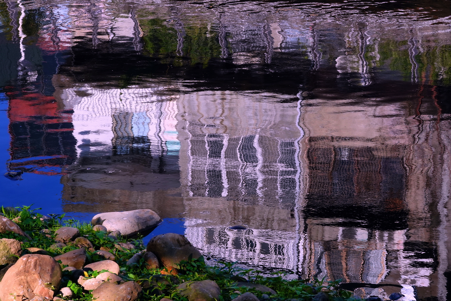 陳永鑑_水中倒影20250104d.JPG
