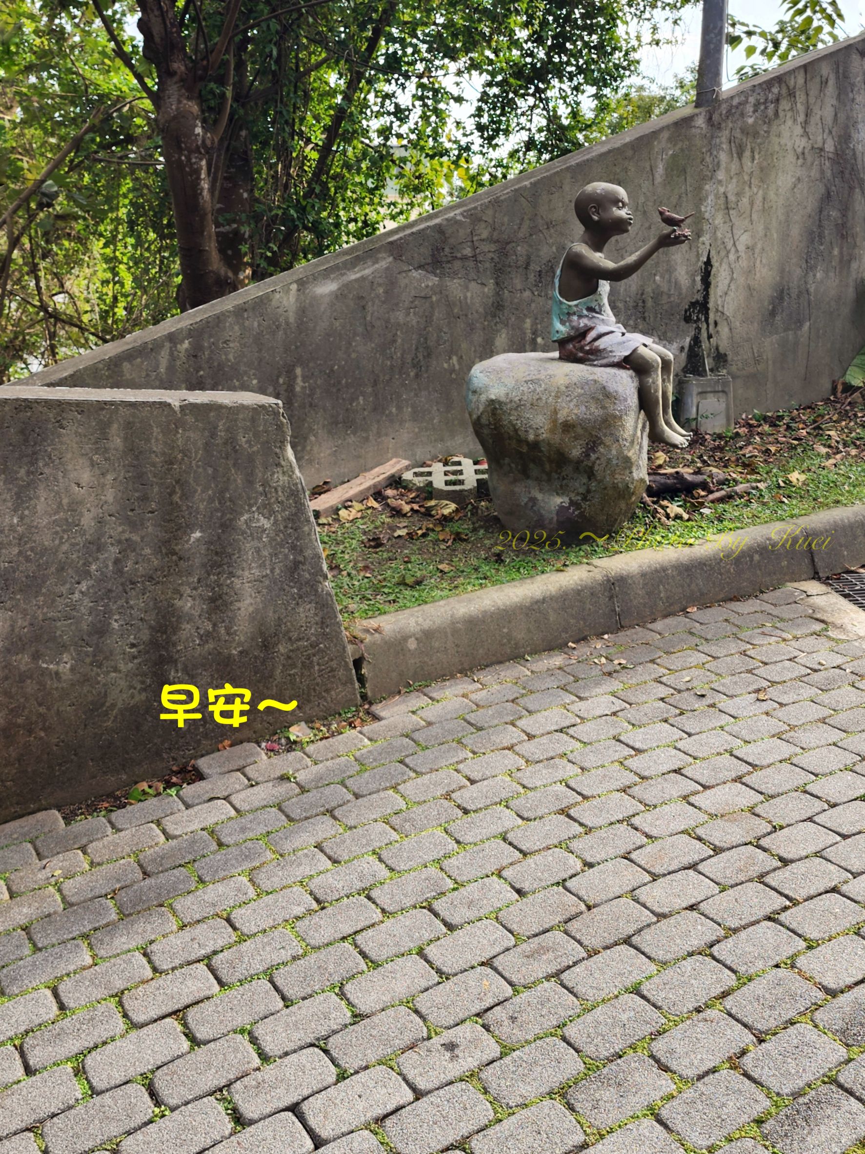 林於貴早安作品20250125.jpg