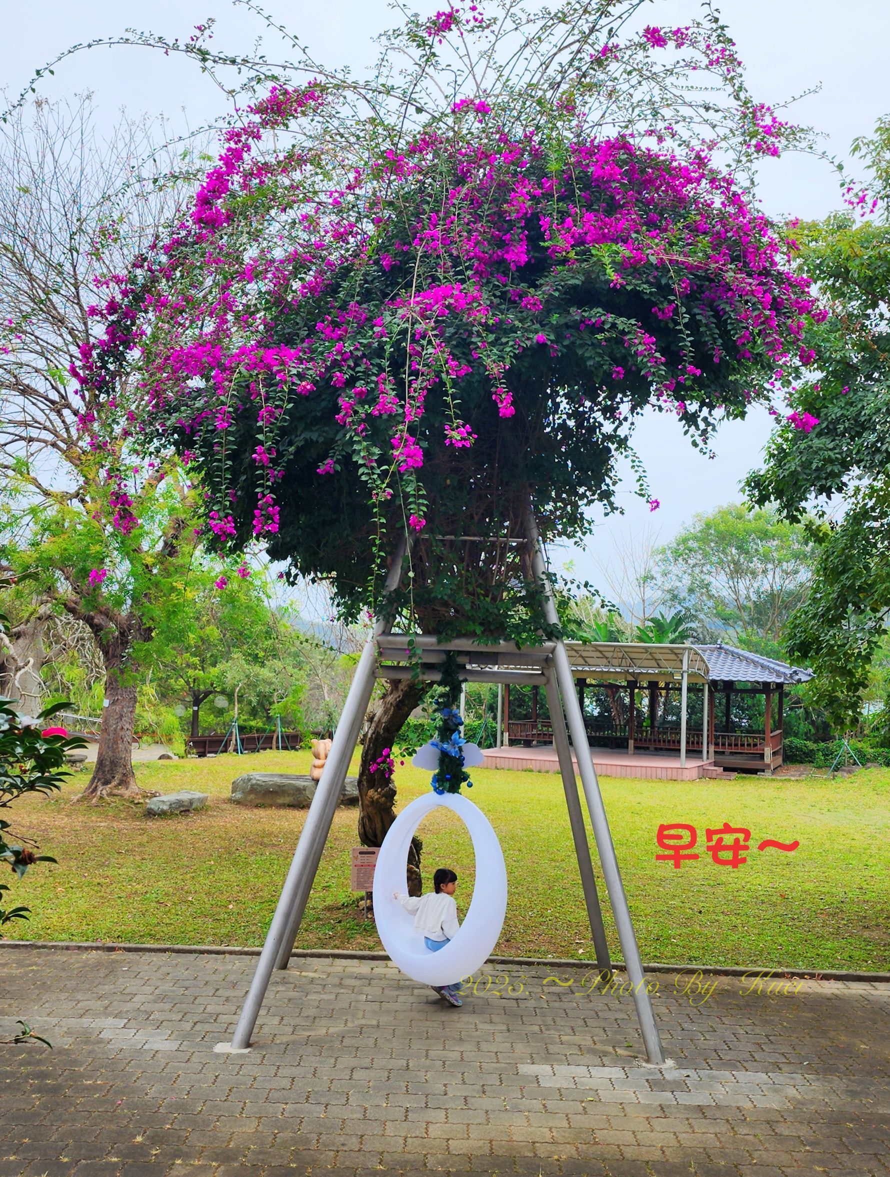 林於貴早安作品20250126.jpg