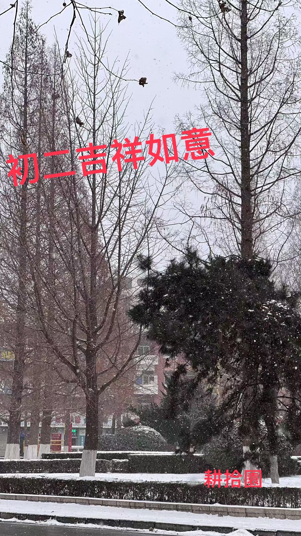 鄭育宏早安作品20250130.jpg