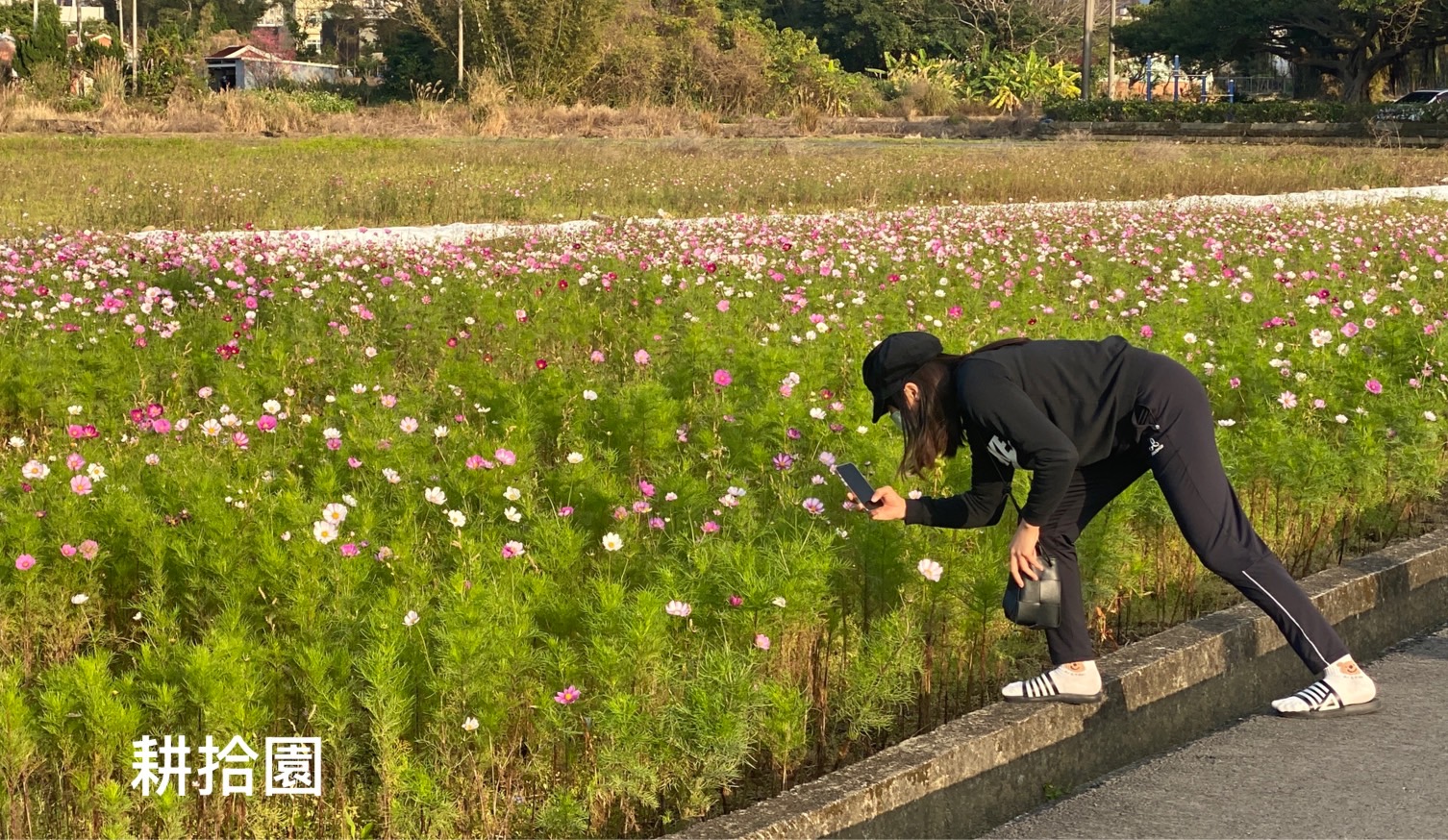 鄭育宏早安作品20250213.jpg
