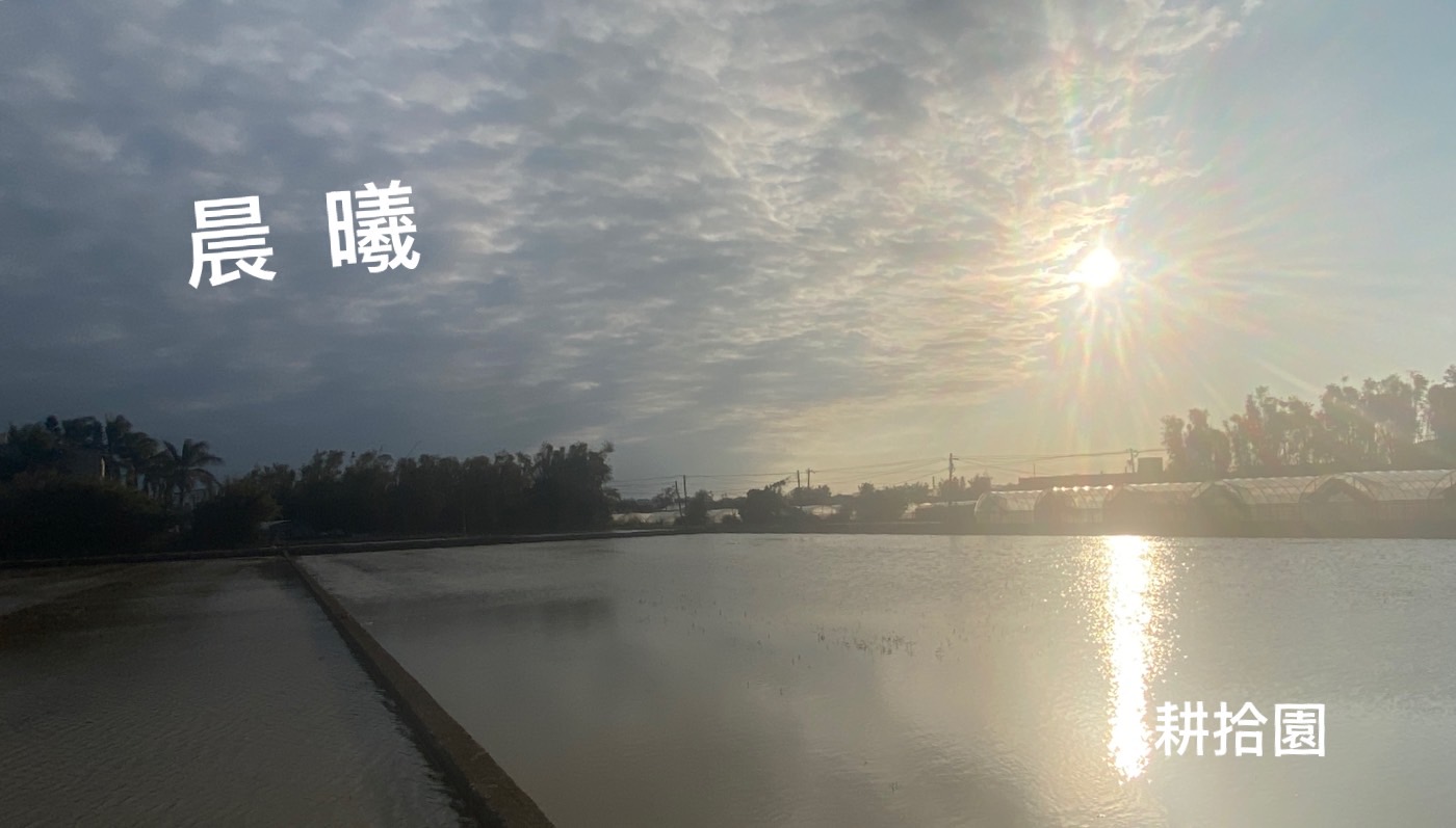 鄭育宏早安作品20250212.jpg
