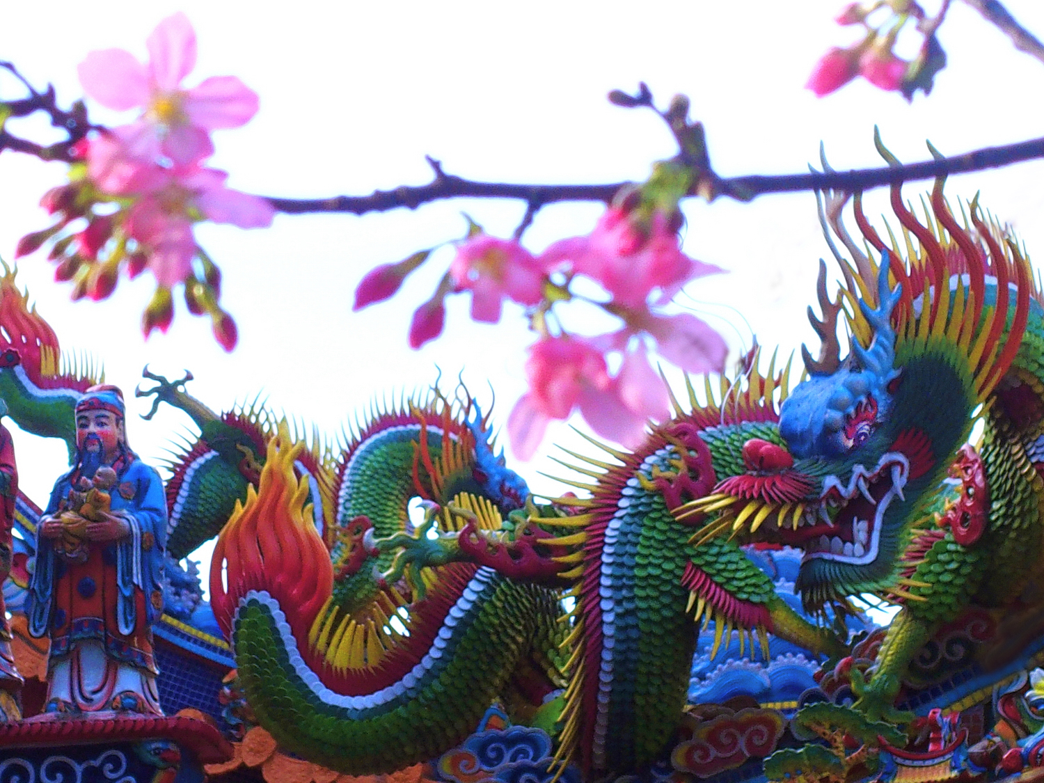 陳永鑑櫻桃花作品20250301w.JPG