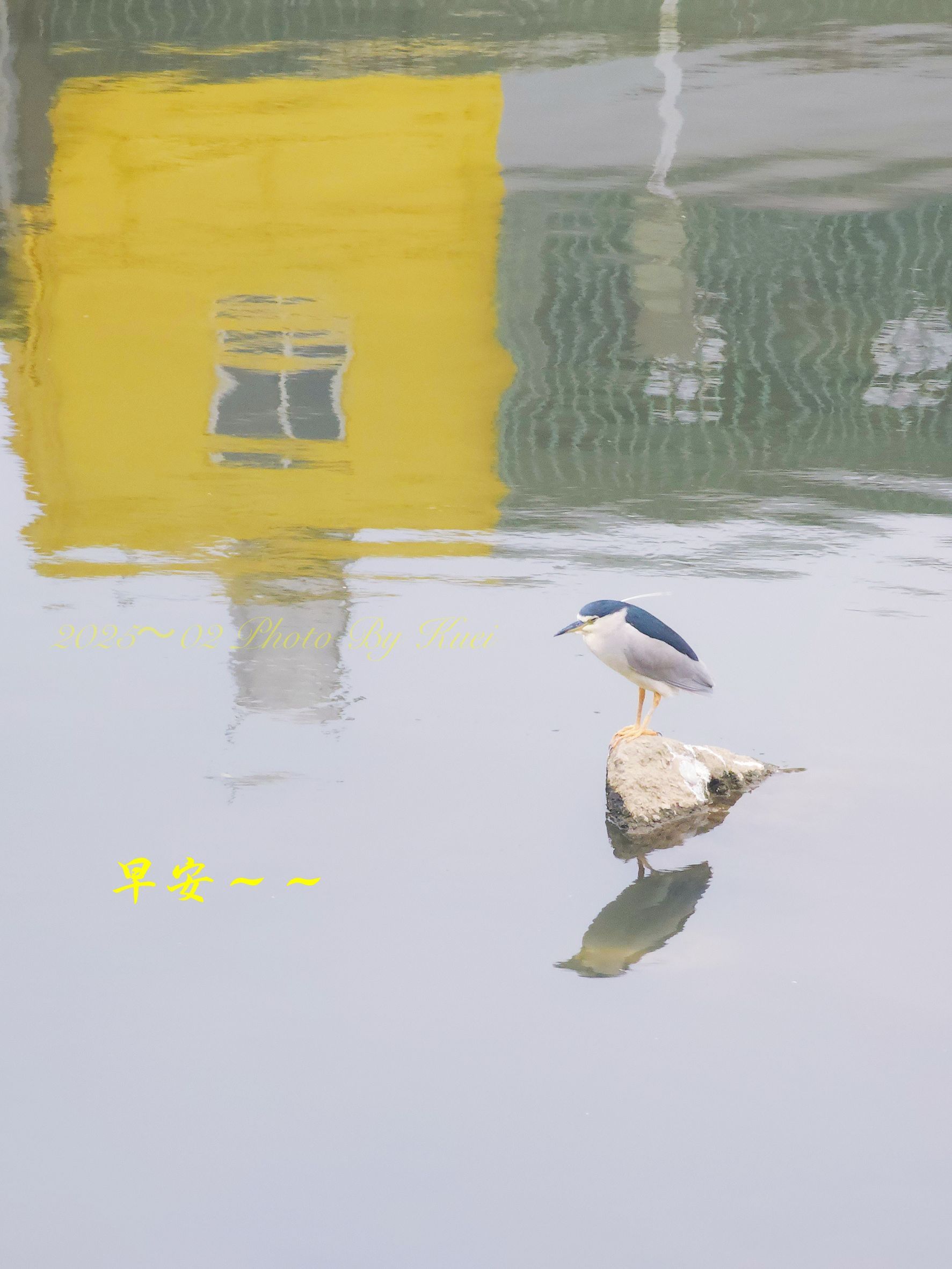 林於貴早安作品20250305.jpg