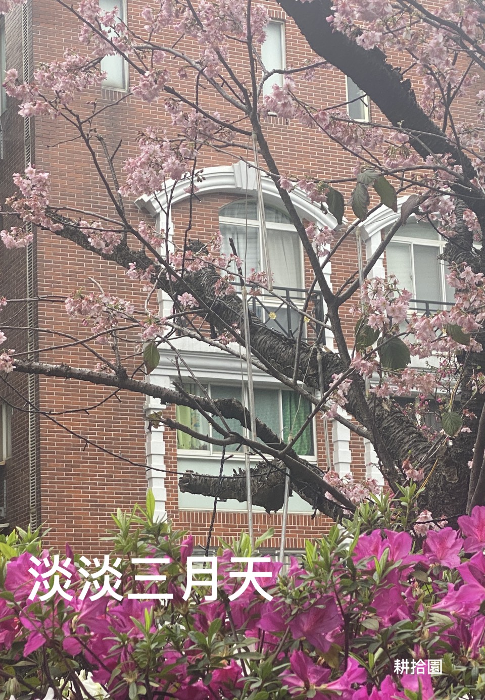 鄭育宏早安作品20250309.jpg