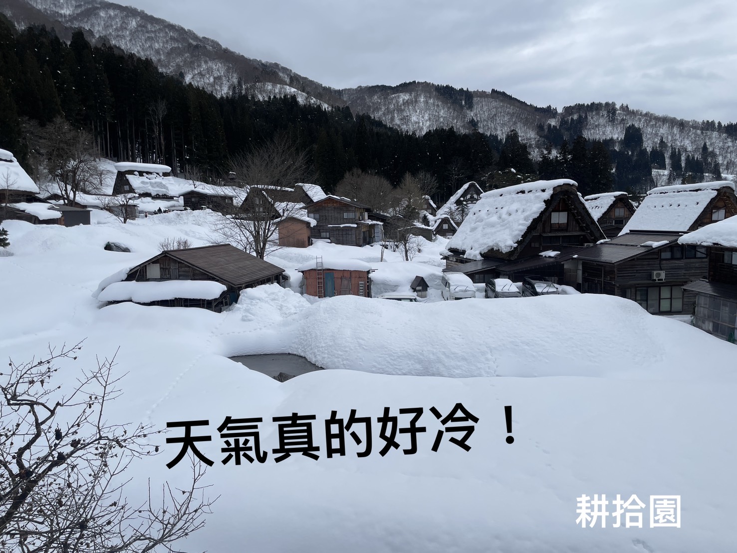 鄭育宏早安作品20250318.jpg