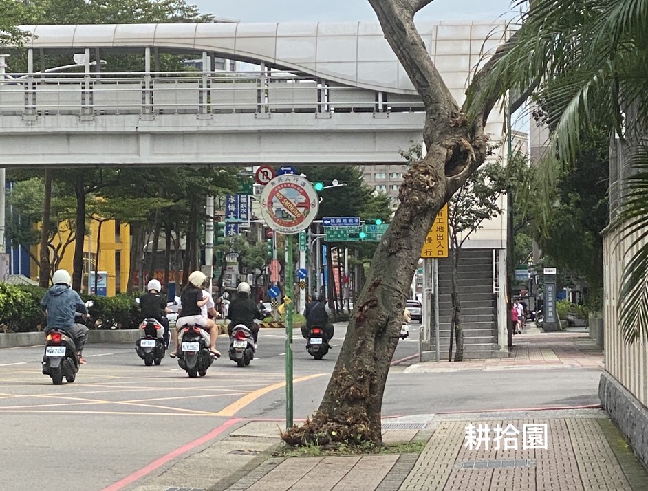 鄭育宏早安作品20250329.jpg