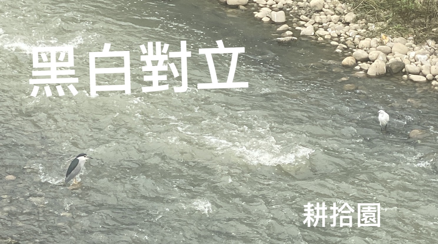 鄭育宏早安作品20250401.jpg