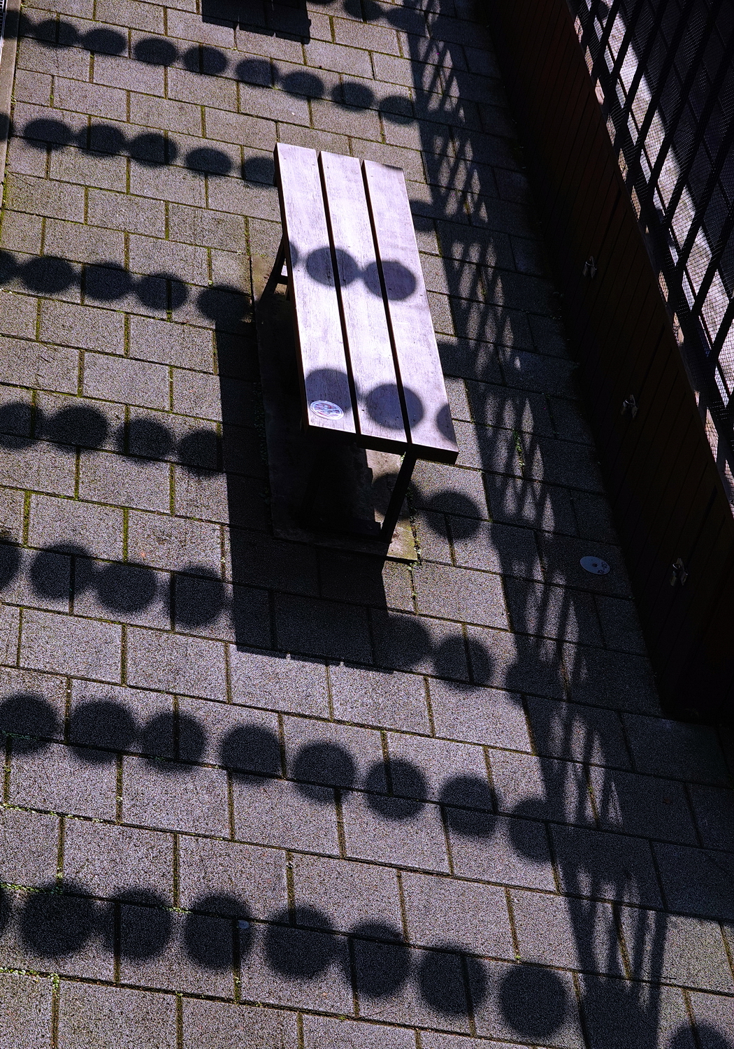 陳永鑑_追光逐影20250312d.JPG