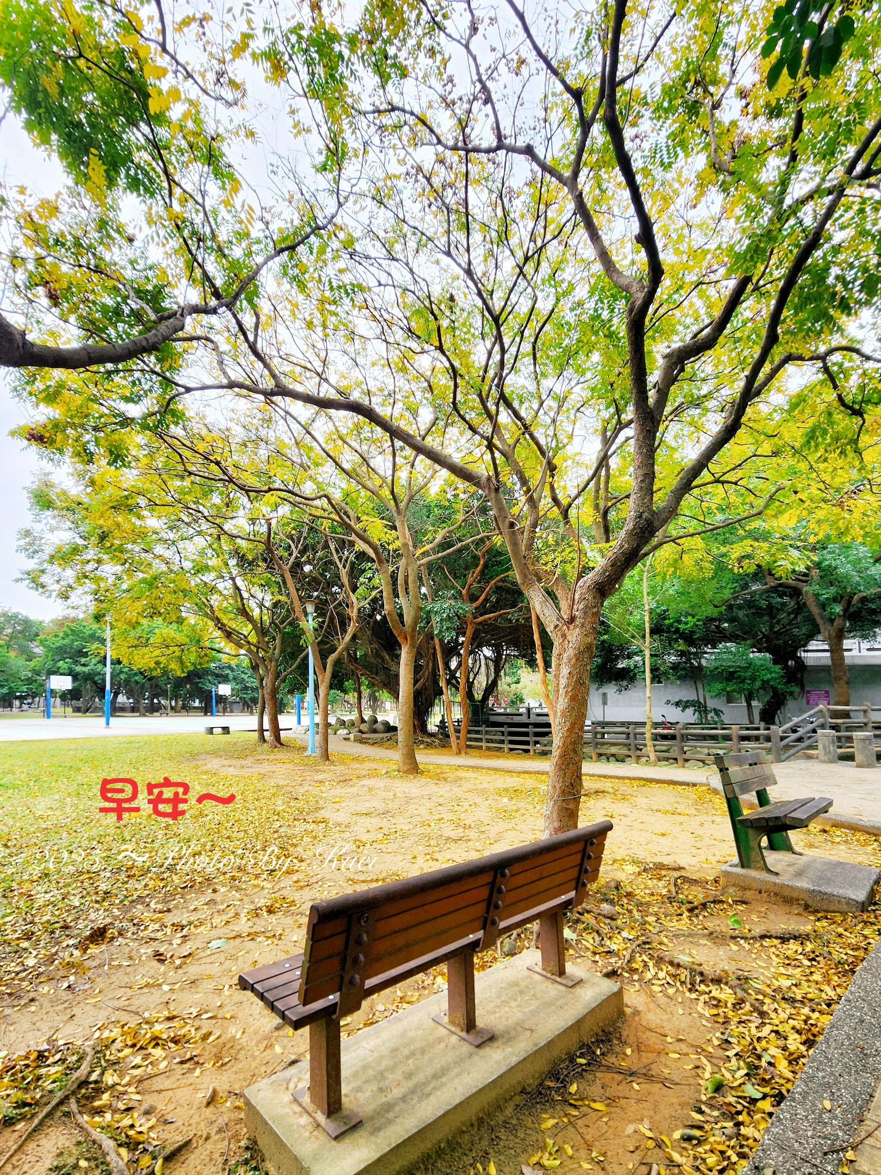 林於貴早安作品20250504.jpg