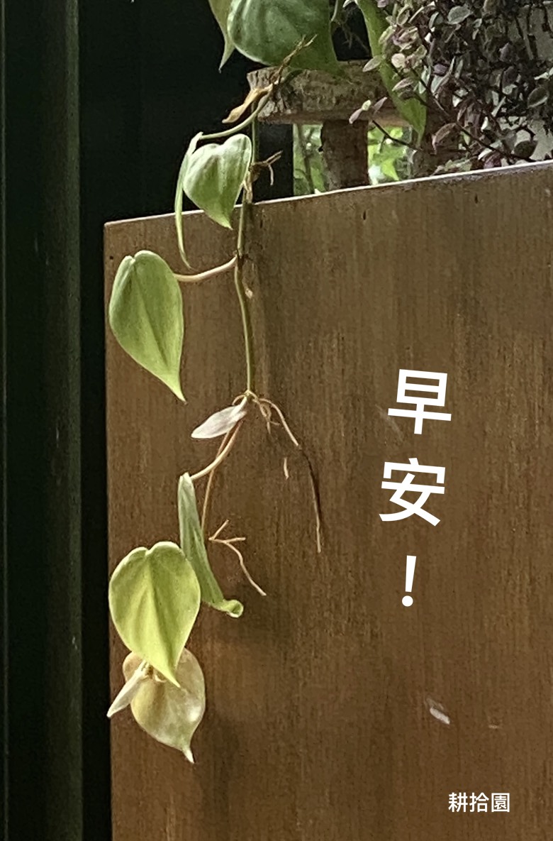 鄭育宏早安作品20250611.jpg