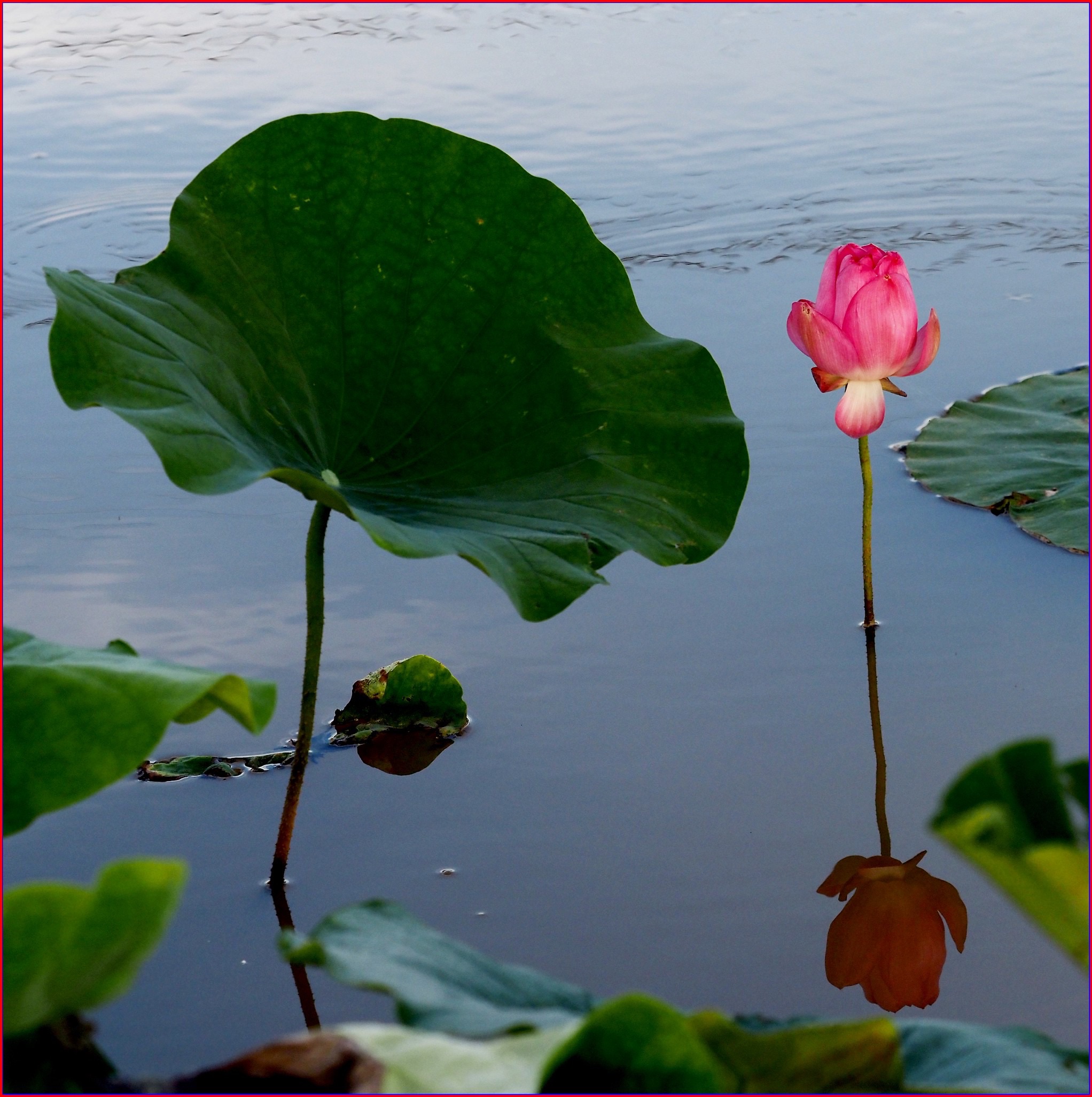 S__37675044.jpg