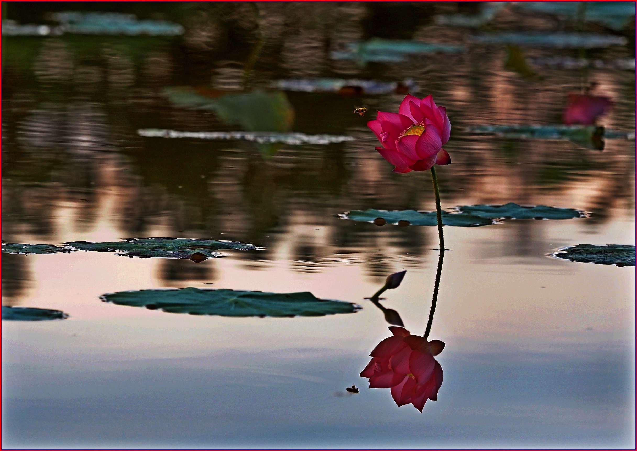 S__38887466.jpg