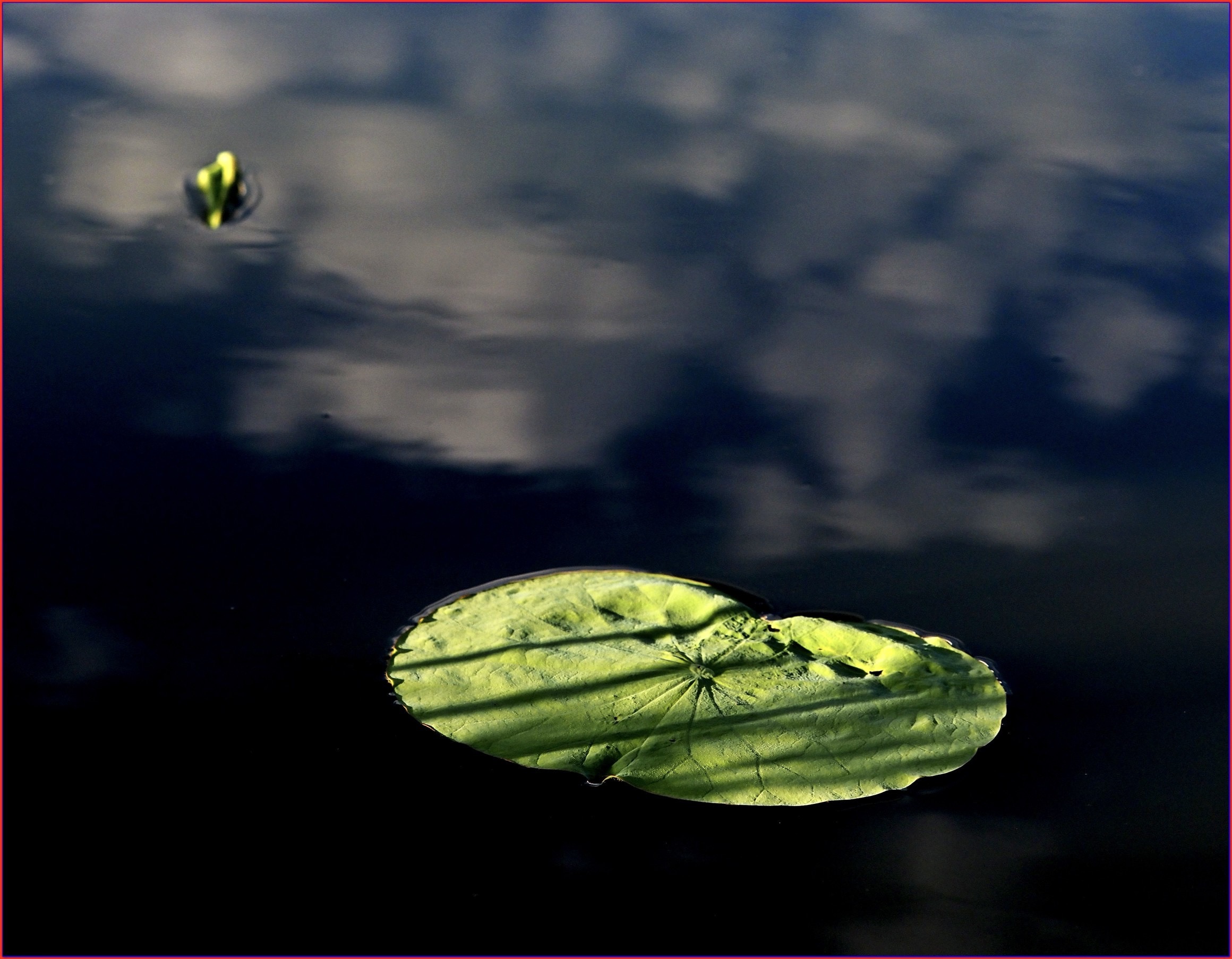S__40157209.jpg