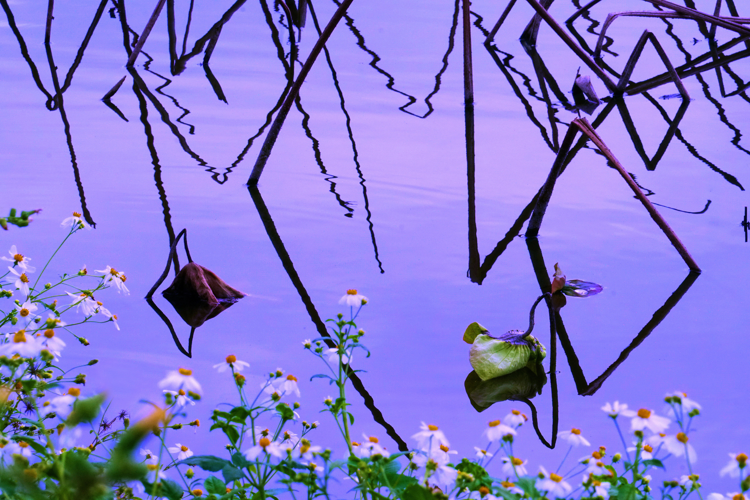 陳永鑑梅花作品20260314g.JPG