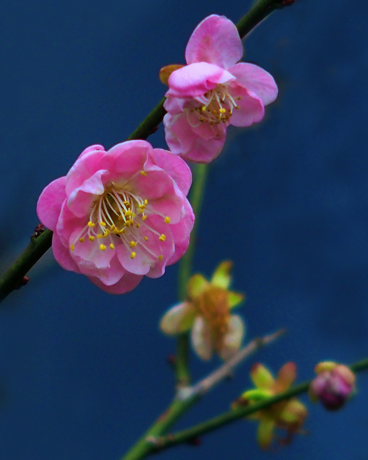 陳老師_有感而發20260411c.jpg