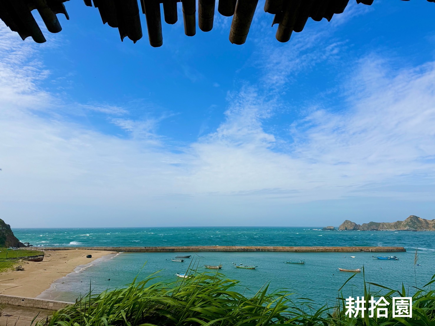 鄭育宏早安作品20250516.jpg
