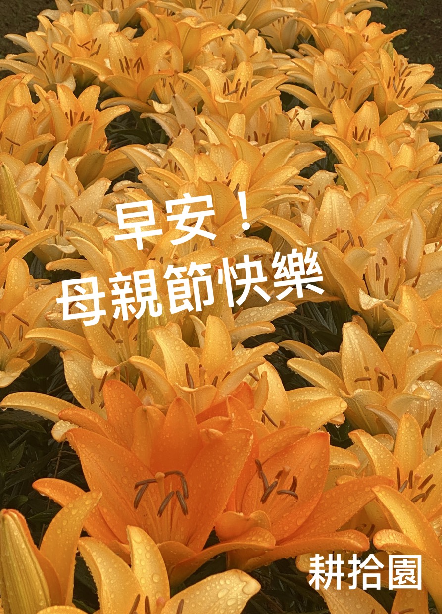 鄭育宏早安作品20250510.jpg