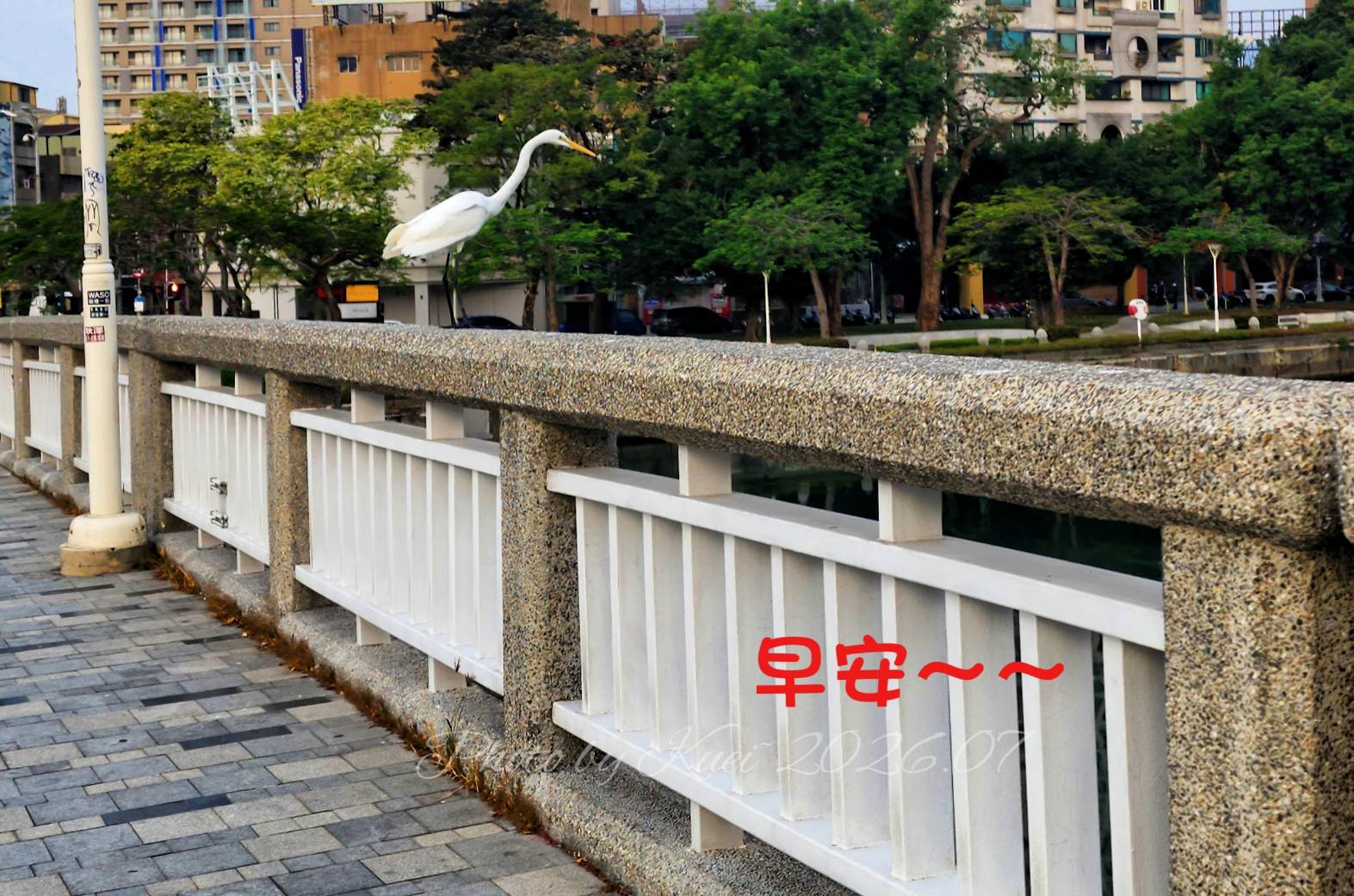 林於貴早安作品20260715.jpg