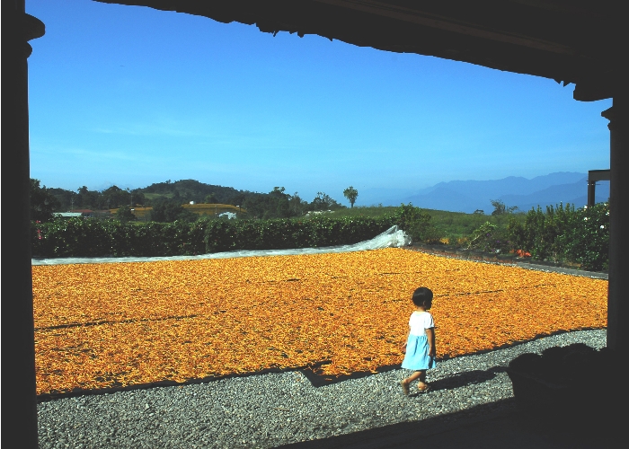 ../Images/E06.jpg