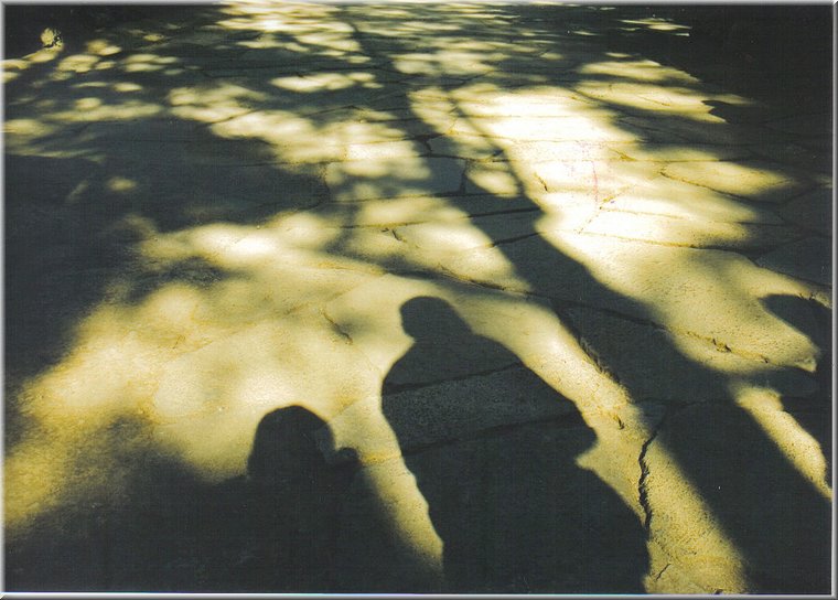 A02.jpg