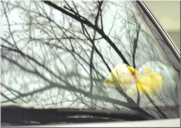 A01.jpg