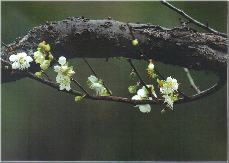 A02.jpg