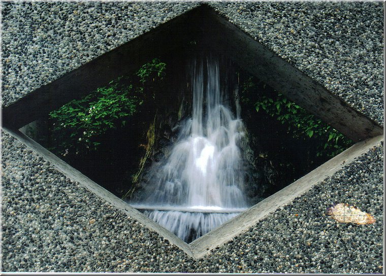 C02.jpg