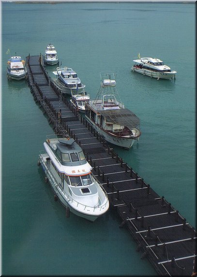 A02.jpg