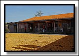 D09.jpg