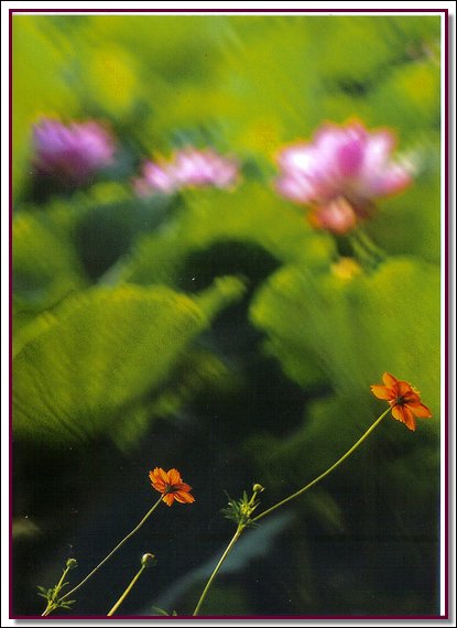 A03.jpg