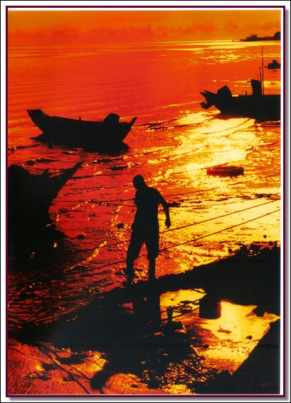 C06.jpg