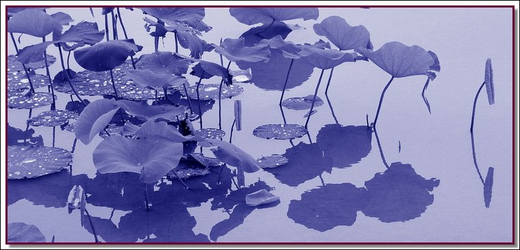 D01.jpg