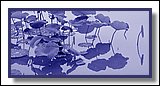 D01.jpg