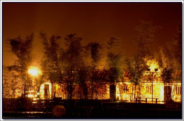 F01.JPG