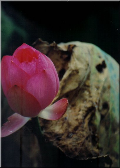 A02.jpg