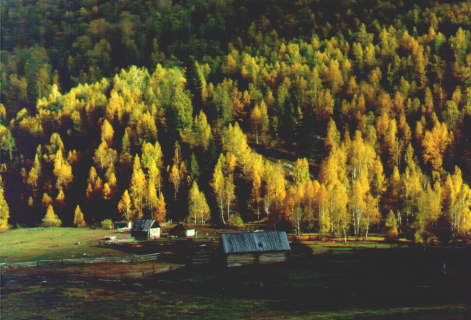 ph02.jpg (29968 bytes)