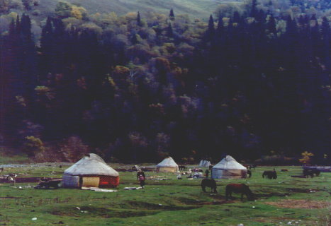 ph03.jpg (29342 bytes)