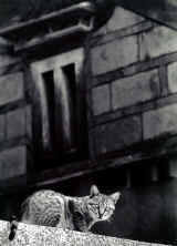 01.JPG (187938 Ӧ줸)