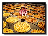 A03-3.jpg A03-3.jpg