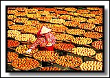 E03-1.jpg E03-1.jpg