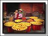 F02.jpg F02.jpg