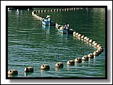F07.jpg F07.jpg