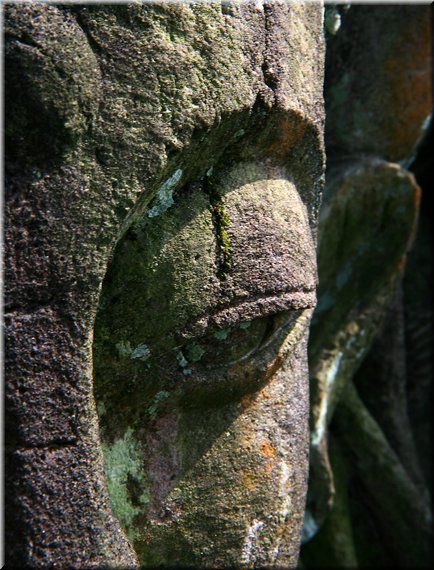 C02.jpg