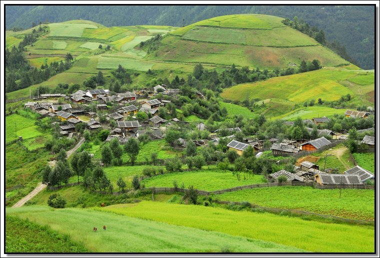A01.jpg